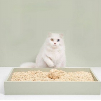  Milk Tofu Cat Litter	